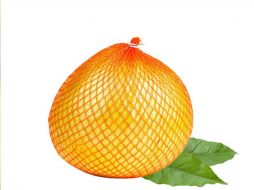 Pomelo KG