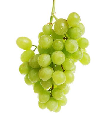 Grozde Byalo Kg