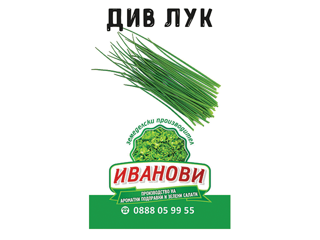 Div Luk Presen Kutiya