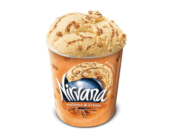 SladoledNirvana Pralina I Krem XL 549g