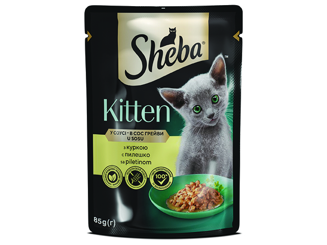 ShebaPauchPileshkoVSos85G