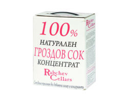 GrozdovSok3lKontsentratRabchev